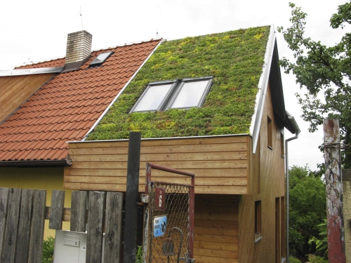 V případě střešního trávníku na šikmé střeše rodinného domu je nutná pravidelná zálivka, která může být realizována kapkovou závlahou
