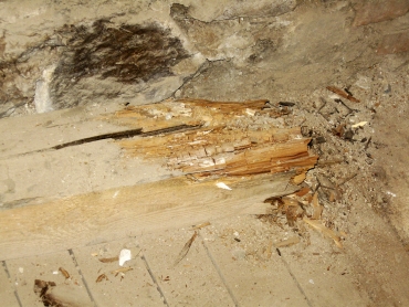 Obr. 2: Zhlaví trámu zcela zničené dřevomorkou